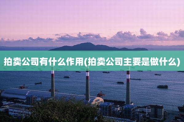拍卖公司有什么作用(拍卖公司主要是做什么)