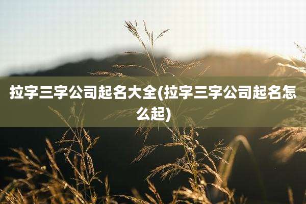 拉字三字公司起名大全(拉字三字公司起名怎么起)