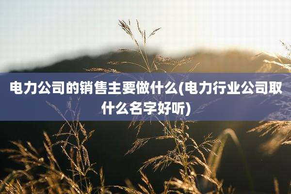 电力公司的销售主要做什么(电力行业公司取什么名字好听)
