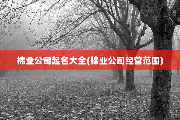 棉业公司起名大全(棉业公司经营范围)