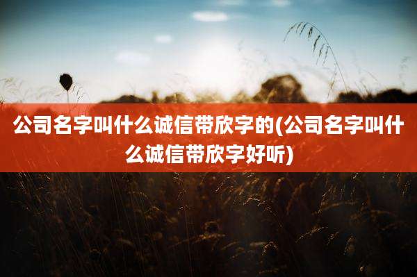 公司名字叫什么诚信带欣字的(公司名字叫什么诚信带欣字好听)