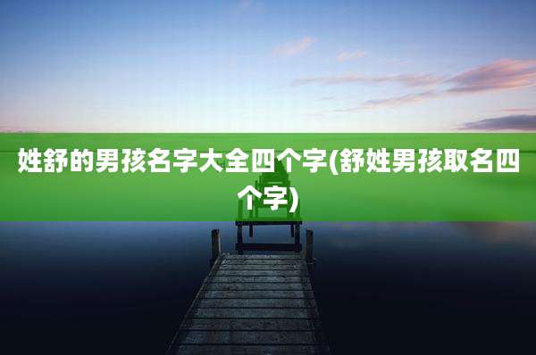 姓舒的男孩名字大全四个字(舒姓男孩取名四个字)