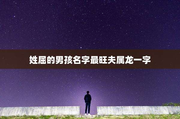 姓屈的男孩名字最旺夫属龙一字