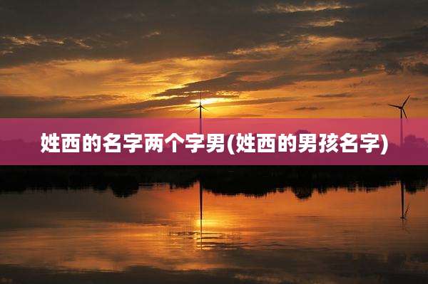 姓西的名字两个字男(姓西的男孩名字)