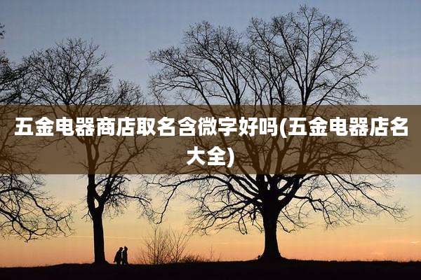 五金电器商店取名含微字好吗(五金电器店名大全)