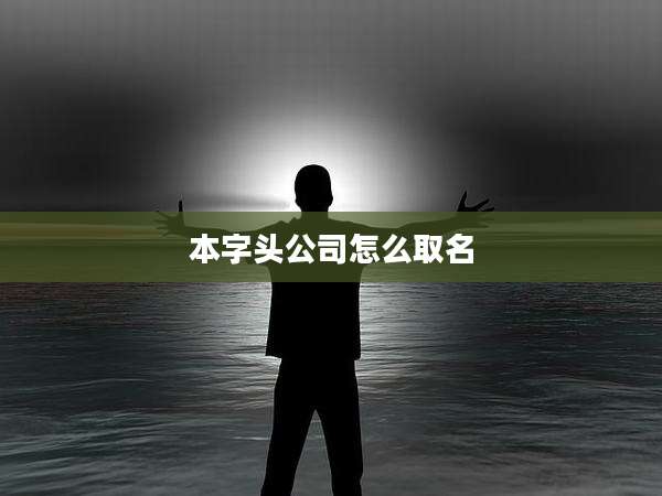 本字头公司怎么取名