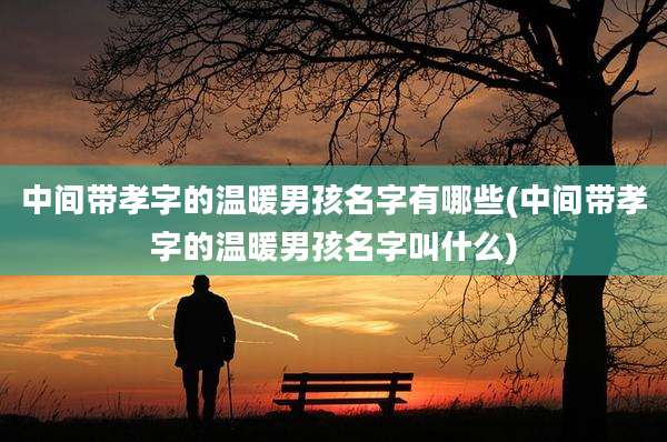 中间带孝字的温暖男孩名字有哪些(中间带孝字的温暖男孩名字叫什么)