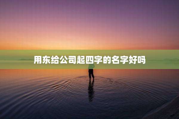 用东给公司起四字的名字好吗