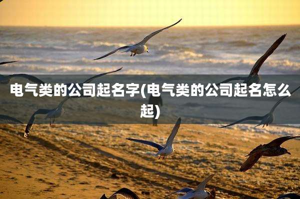电气类的公司起名字(电气类的公司起名怎么起)