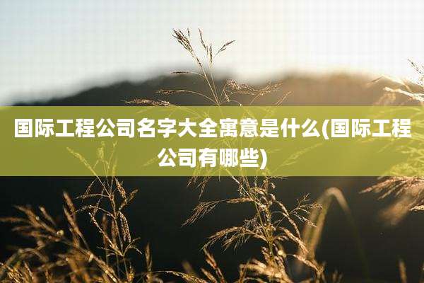 国际工程公司名字大全寓意是什么(国际工程公司有哪些)