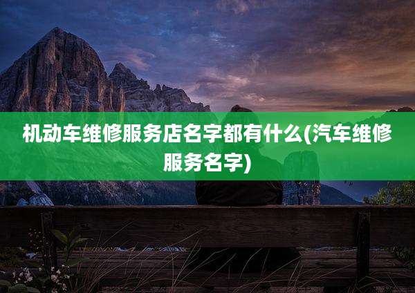 机动车维修服务店名字都有什么(汽车维修服务名字)
