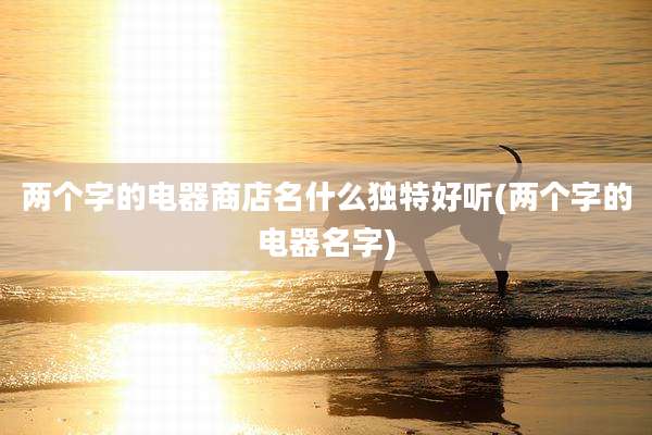 两个字的电器商店名什么独特好听(两个字的电器名字)