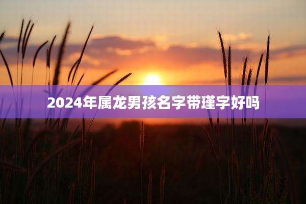 2024年属龙男孩名字带瑾字好吗