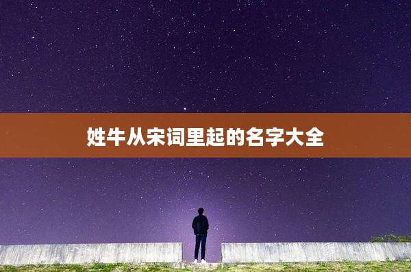姓牛从宋词里起的名字大全