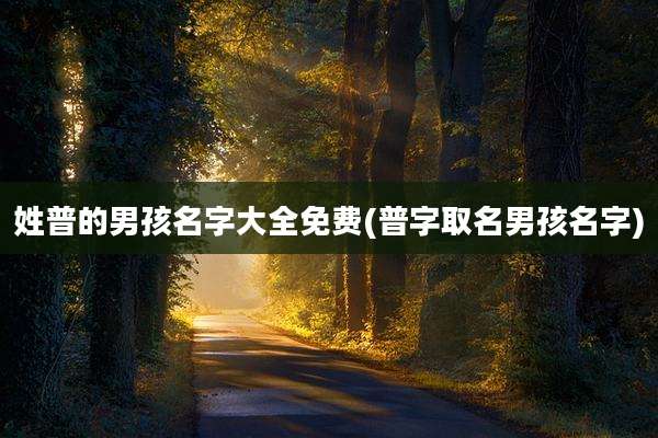姓普的男孩名字大全免费(普字取名男孩名字)