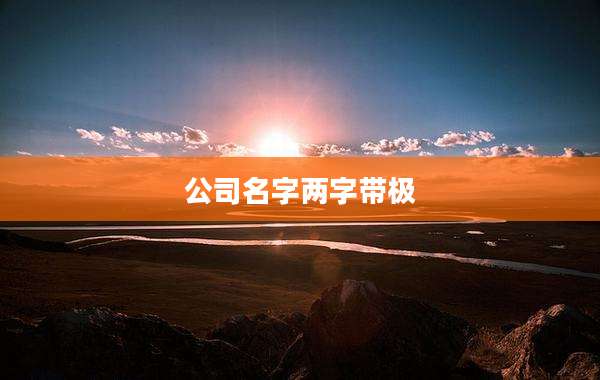 公司名字两字带极