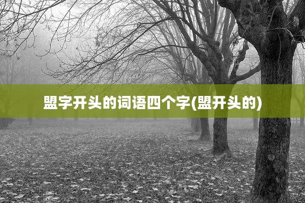 盟字开头的词语四个字(盟开头的)