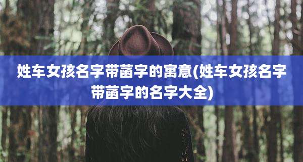 姓车女孩名字带菡字的寓意(姓车女孩名字带菡字的名字大全)