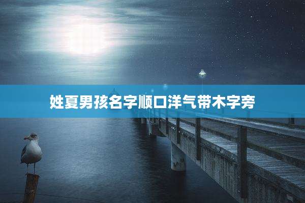 姓夏男孩名字顺口洋气带木字旁