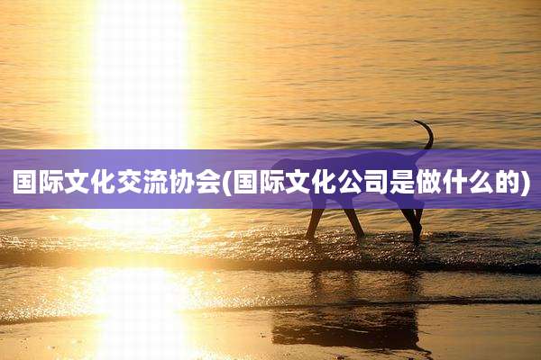 国际文化交流协会(国际文化公司是做什么的)