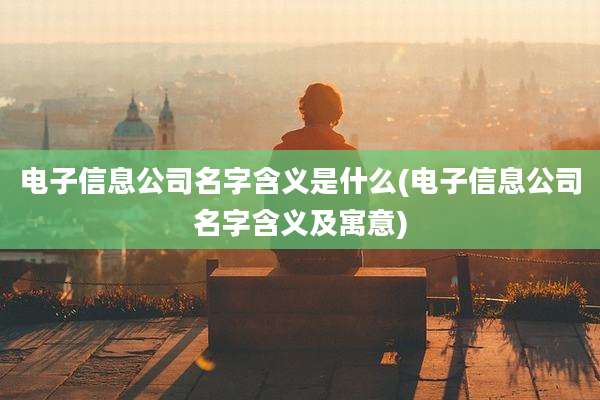 电子信息公司名字含义是什么(电子信息公司名字含义及寓意)