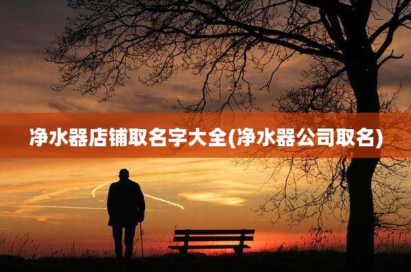 净水器店铺取名字大全(净水器公司取名)