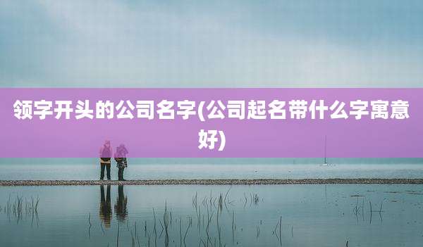 领字开头的公司名字(公司起名带什么字寓意好)