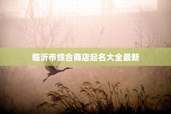 临沂市综合商店起名大全最新