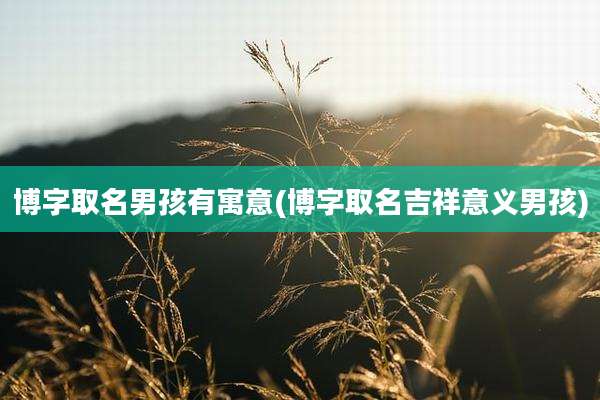 博字取名男孩有寓意(博字取名吉祥意义男孩)