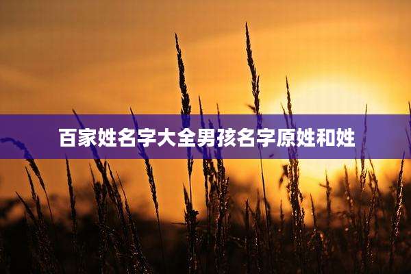 百家姓名字大全男孩名字原姓和姓