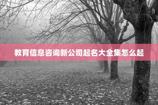 教育信息咨询新公司起名大全集怎么起