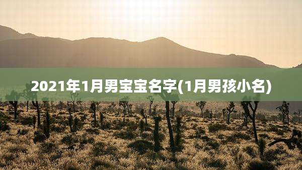 2021年1月男宝宝名字(1月男孩小名)