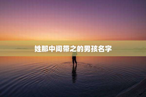 姓那中间带之的男孩名字