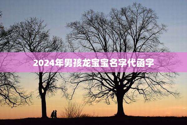 2024年男孩龙宝宝名字代函字