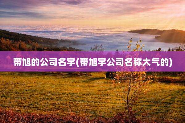 带旭的公司名字(带旭字公司名称大气的)