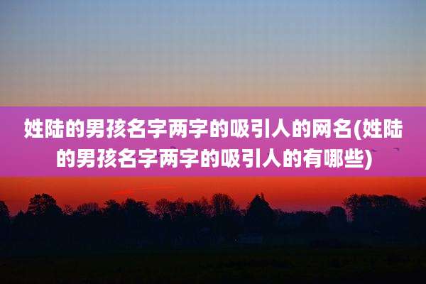 姓陆的男孩名字两字的吸引人的网名(姓陆的男孩名字两字的吸引人的有哪些)