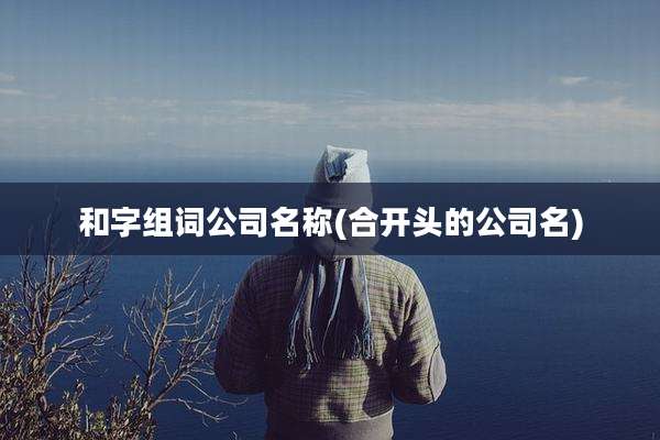 和字组词公司名称(合开头的公司名)