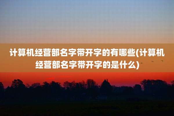 计算机经营部名字带开字的有哪些(计算机经营部名字带开字的是什么)