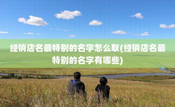 经销店名最特别的名字怎么取(经销店名最特别的名字有哪些)