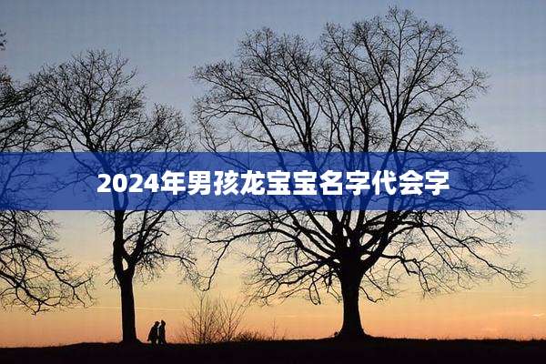 2024年男孩龙宝宝名字代会字