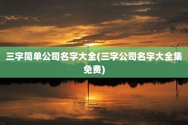三字简单公司名字大全(三字公司名字大全集免费)