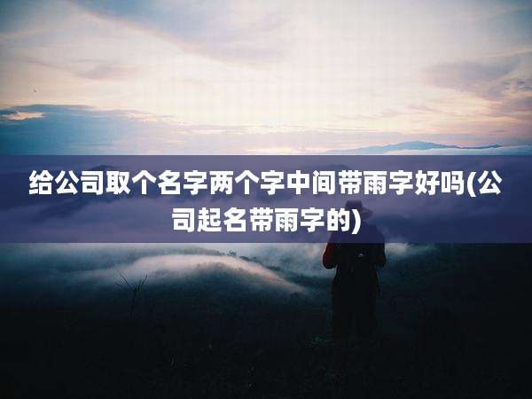 给公司取个名字两个字中间带雨字好吗(公司起名带雨字的)