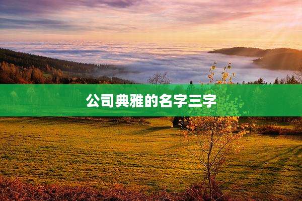 公司典雅的名字三字