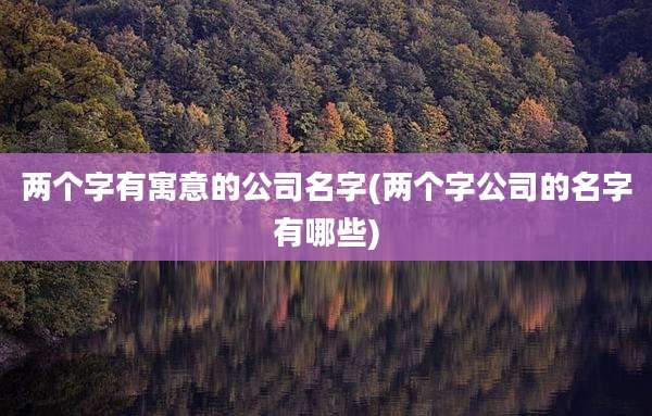 两个字有寓意的公司名字(两个字公司的名字有哪些)