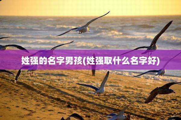 姓强的名字男孩(姓强取什么名字好)