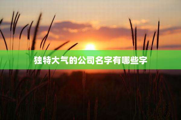 独特大气的公司名字有哪些字