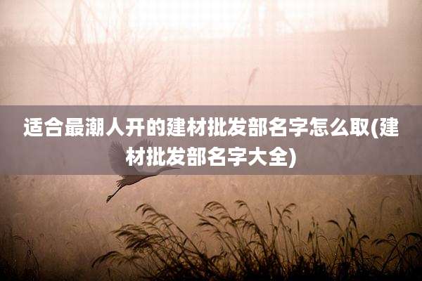 适合最潮人开的建材批发部名字怎么取(建材批发部名字大全)