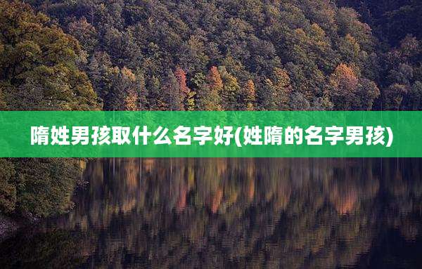 隋姓男孩取什么名字好(姓隋的名字男孩)