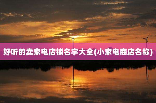 好听的卖家电店铺名字大全(小家电商店名称)