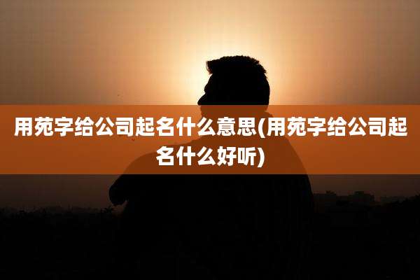 用苑字给公司起名什么意思(用苑字给公司起名什么好听)